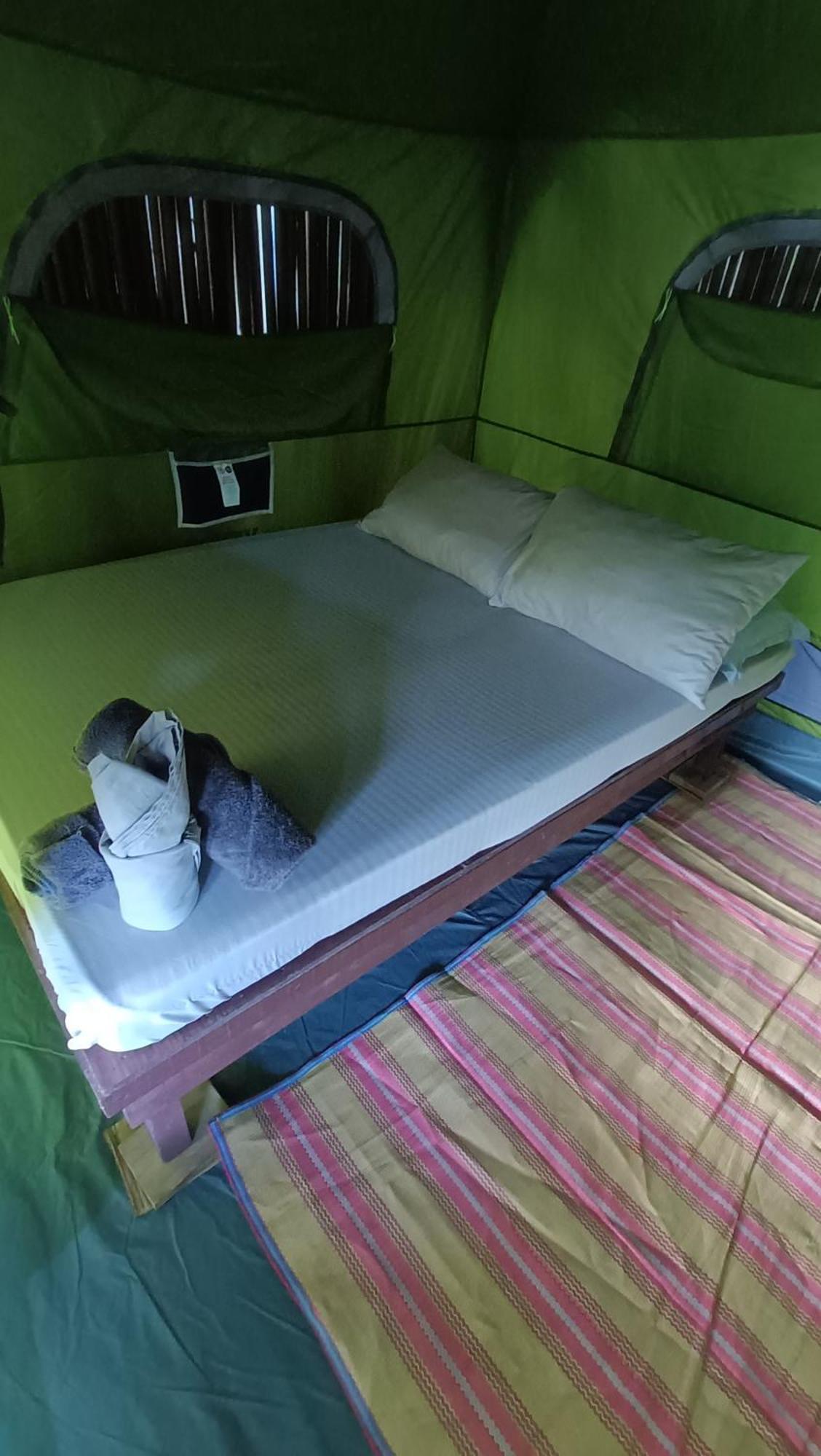 Tony'S Country Glamping With Chalet With Private Wash Room Accommodation エルニド エクステリア 写真